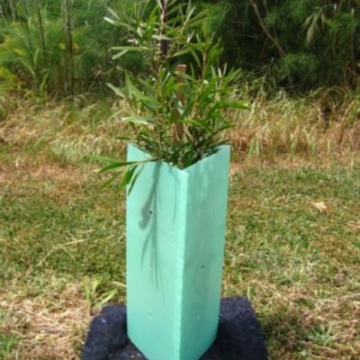 コルフルートはプラスチック木の覆い2mmのプラスチック木の監視を懸命に波形を付けた