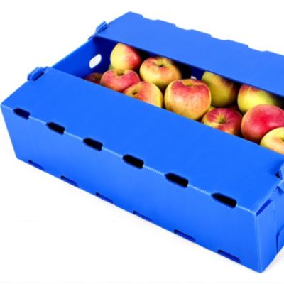 箱のポリプロピレンの耐湿性を包むコロプラスト青いAppleのフルーツ