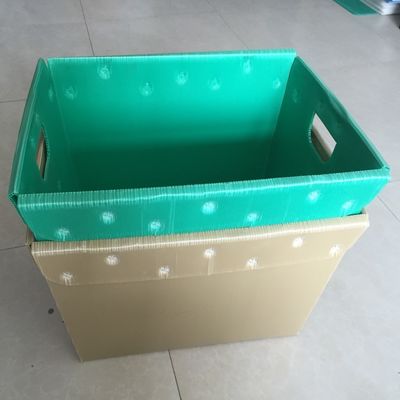 4.5mmの5.5mm波形のプラスチック荷箱の魚PPは大箱を波形を付けた