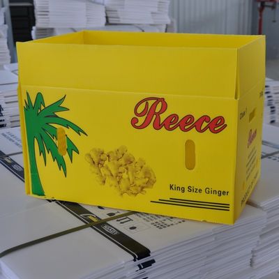 野菜はプラスチックコロプラスト包装の再使用可能な波形箱を波形を付けた
