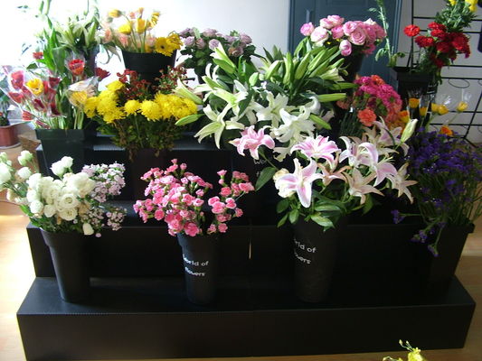 堅いコロプラストの花の陳列台の造花の防水に陳列台