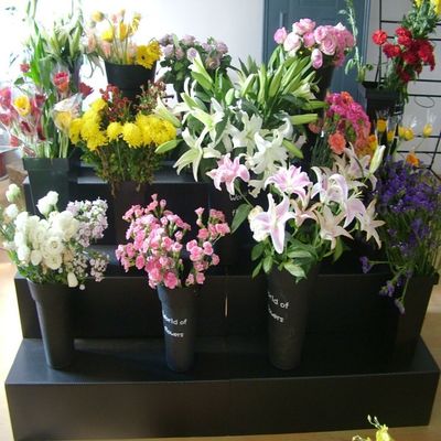 黒いコルフルートの花の展示の立場PP 4のステップ花屋の表示装置
