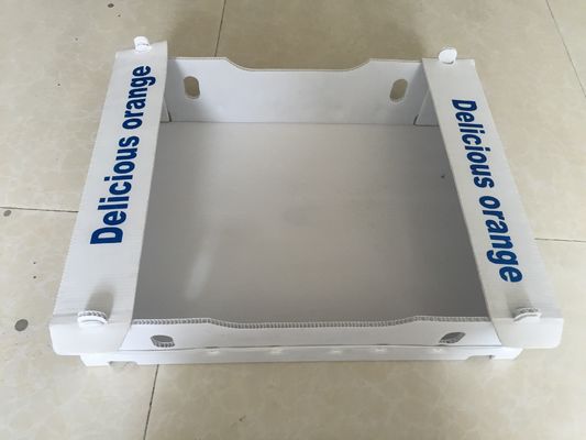 防水フルーツの包装のためのポリプロピレン5mmの波形箱