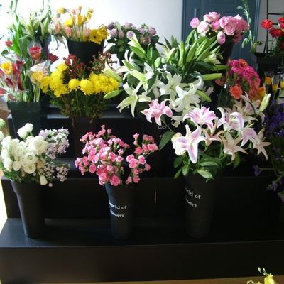 黒いコロプラストの花の展示の立場PPはプラスチック4つのステップ耐久財を波形を付けた
