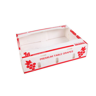 コルフルートの生鮮食品のコロプラストのキーウィ フルーツの荷箱を板紙箱