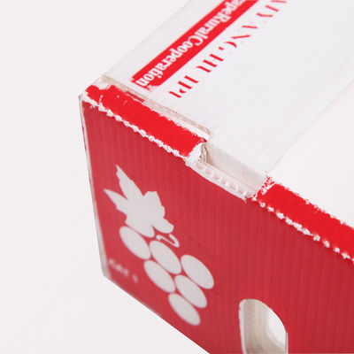 コルフルートの生鮮食品のコロプラストのキーウィ フルーツの荷箱を板紙箱