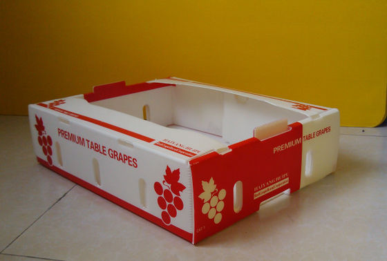 コルフルートの生鮮食品のコロプラストのキーウィ フルーツの荷箱を板紙箱