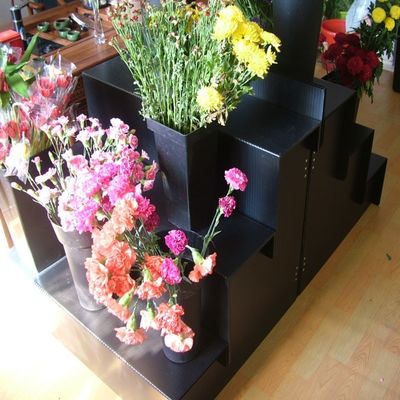 家の庭のための黒5mm コルフルートのみずみずしい花の陳列台