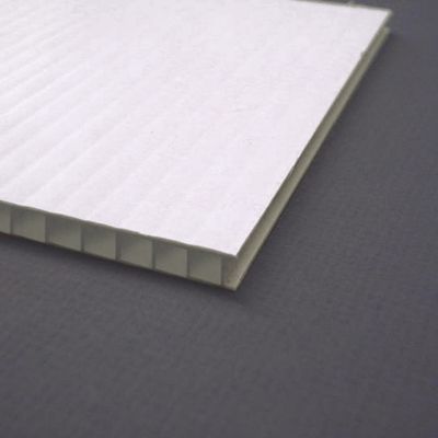 壁の明確なコロプラスト対の4x8透明なコロプラストのプラスチック空板