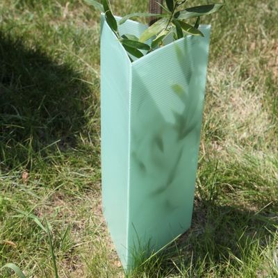 三角形はプラスチック木の監視2mm コルフルート植物の監視を波形を付けた
