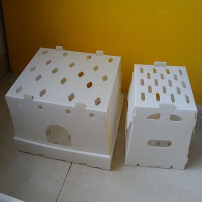 転換PPはプラスチックの箱の空のコルフルートの収納箱を波形を付けた