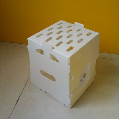 転換PPはプラスチックの箱の空のコルフルートの収納箱を波形を付けた