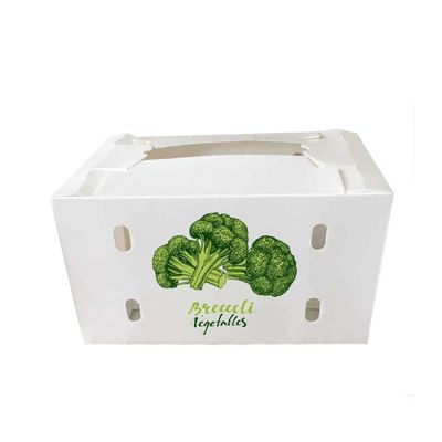 コロプラストの折り畳み式のトマト包装箱の再使用可能な野菜荷箱
