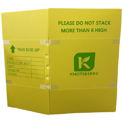 公共および商業向けに設計された段ボールプラスチック梱包箱。廃棄物管理システムで性能を発揮します。