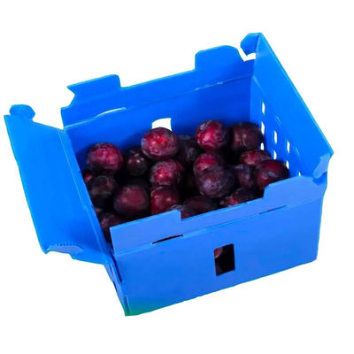 ポリプロピレンはプラスチック野菜包装箱の堅い軽量の貯蔵の荷箱を波形を付けた