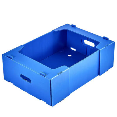 フルーツの貯蔵の交通機関はプラスチックの箱のポリプロピレンのフルーツの荷箱を波形を付けた