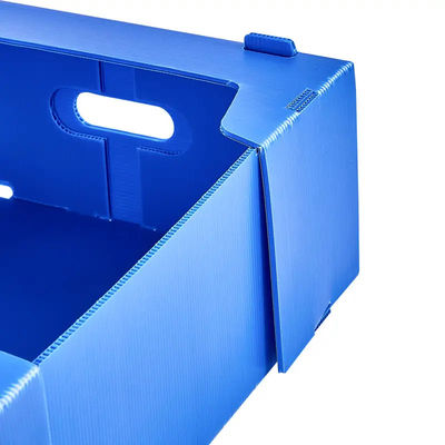 フルーツの貯蔵の交通機関はプラスチックの箱のポリプロピレンのフルーツの荷箱を波形を付けた