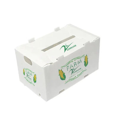 ポリプロピレンはプラスチック フルーツ箱のパッキング貯蔵の交通機関を波形を付けた