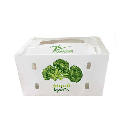 パーソナライズされたポリプロピレンコロプラスト 野菜ボックス PP 波紋プラスチックパッケージボックス