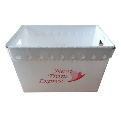 PP 波紋プラスチック メール トート カスタマイズ 防水 軽量