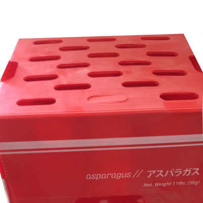 ポリプロピレン 野菜 梱包 箱 PP 波紋 プラスチック 箱 カスタマイズ リサイクル